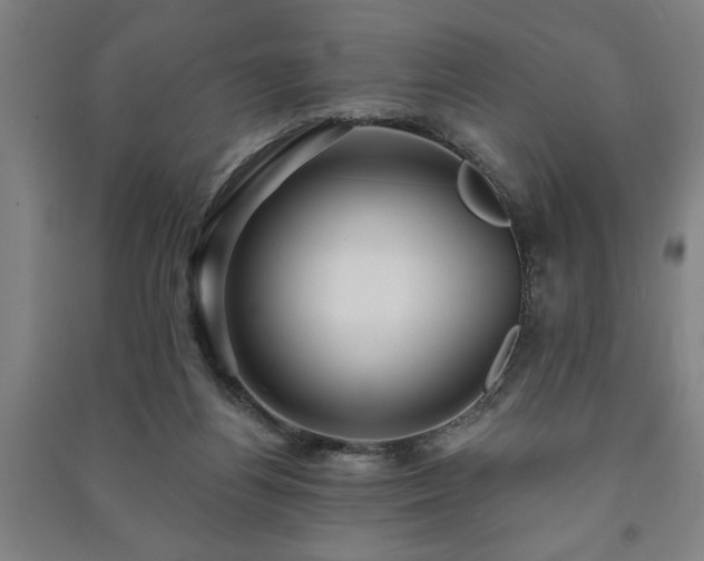 X0000091230164200708161723