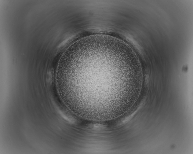 X0000091230165200708161723