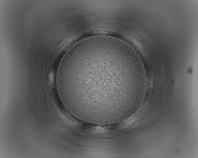 X0000091230166200708161723