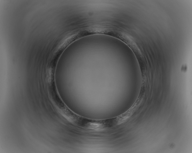 X0000091230167200708161723