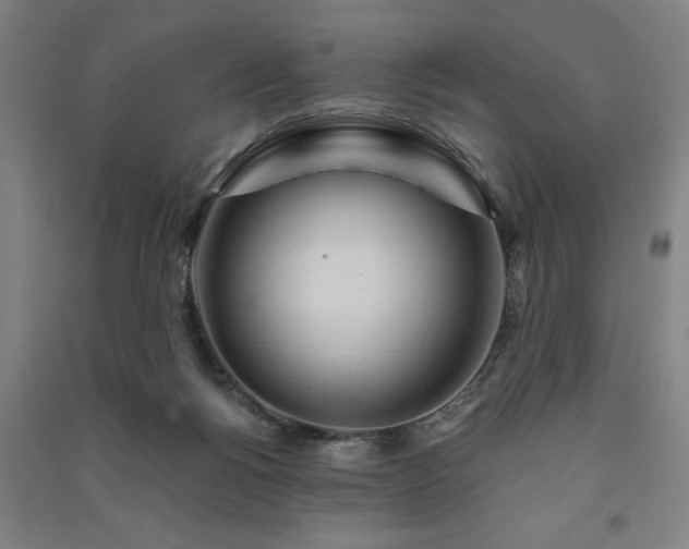 X0000091230168200708161723