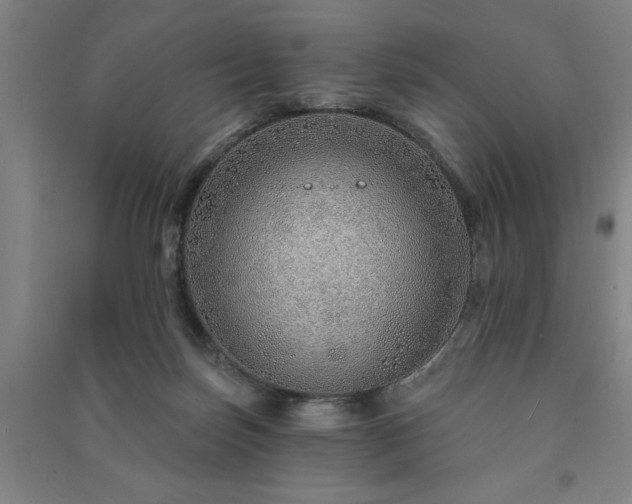 X0000091230171200708161723