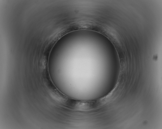 X0000091230174200708161723