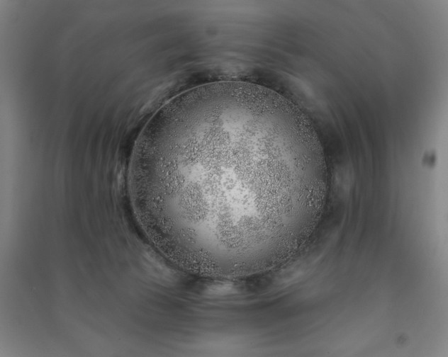 X0000091230177200708161723