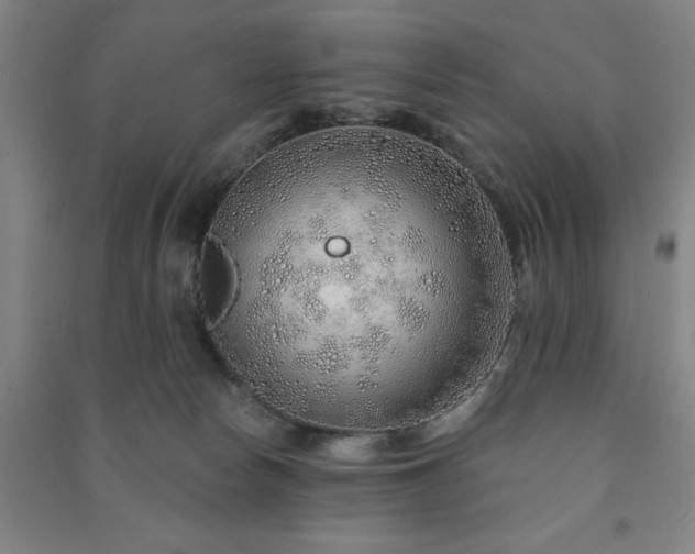 X0000091230178200708161723