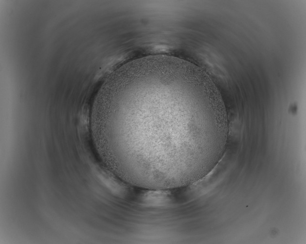 X0000091230179200708161723
