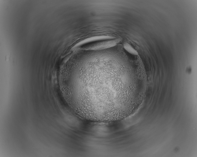 X0000091230182200708161723