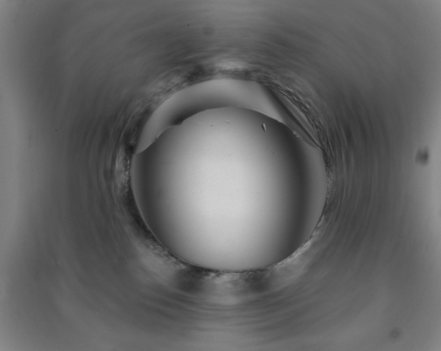 X0000091230186200708161723