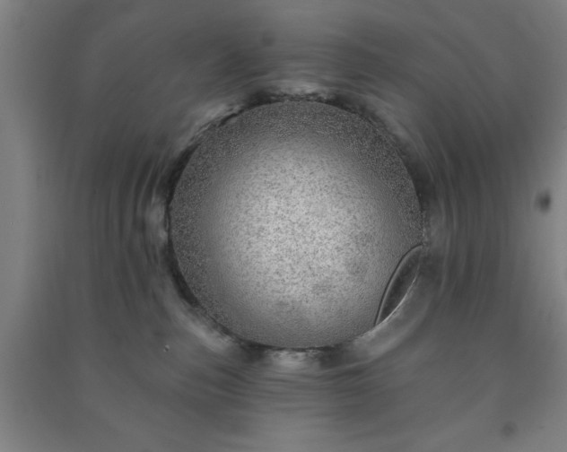 X0000091230187200708161723