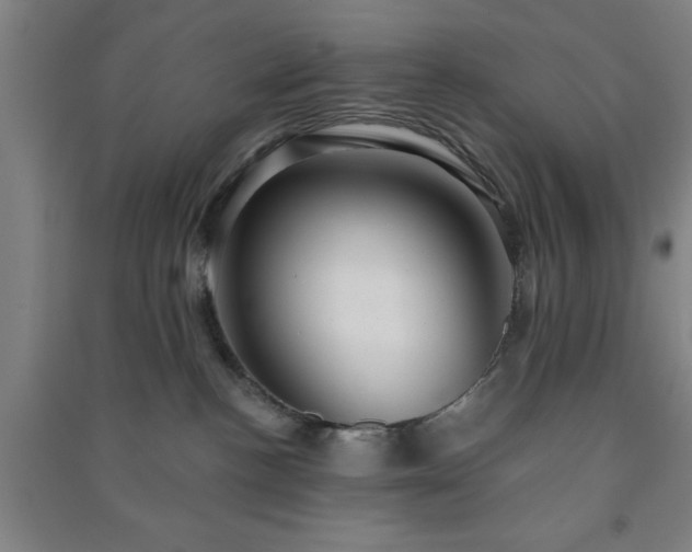 X0000091230188200708161723