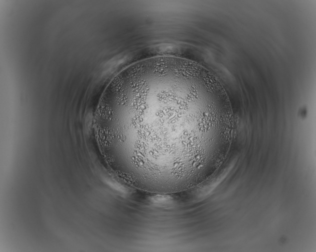 X0000091230189200708161723