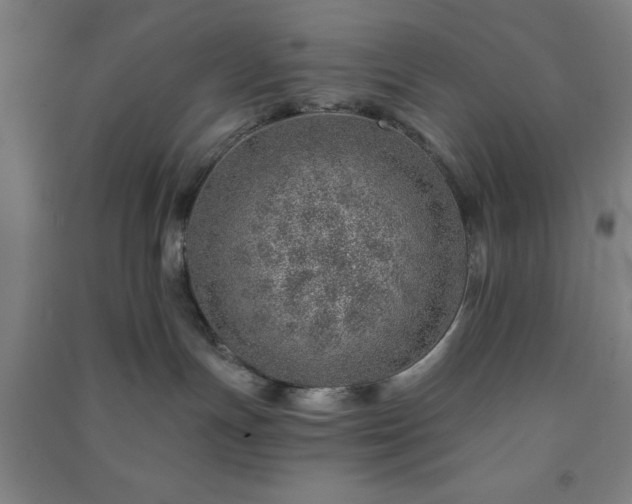 X0000091230191200708161723