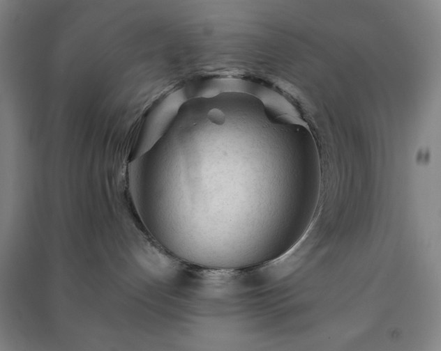 X0000091230192200708161723