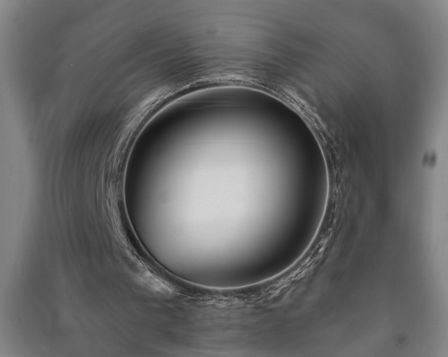 X0000091230193200708161723