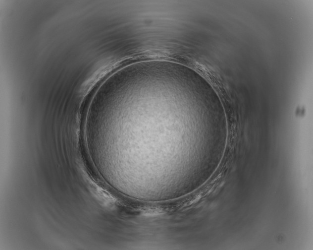 X0000091230194200708161723