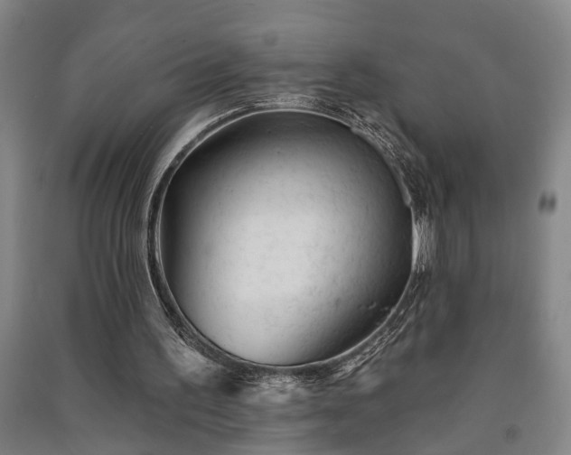 X0000091230195200708161723