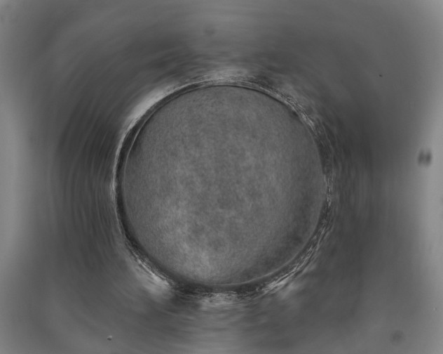 X0000091230196200708161723