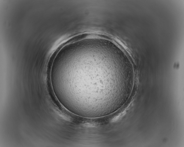 X0000091230199200708161723