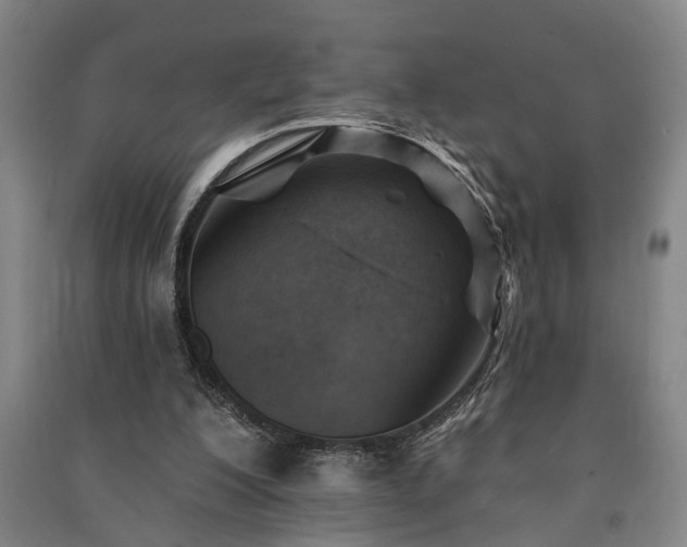 X0000091230200200708161723