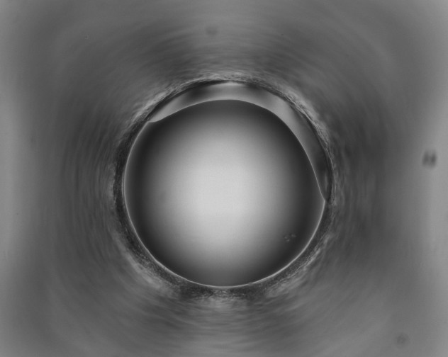 X0000091230201200708161723