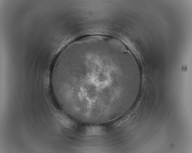 X0000091230202200708161723