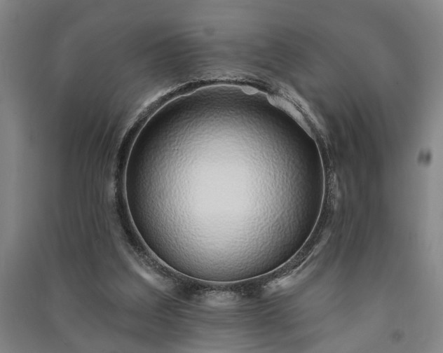 X0000091230203200708161723