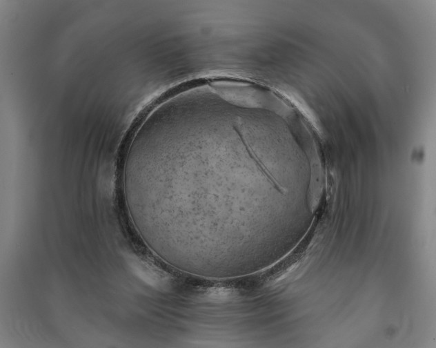 X0000091230204200708161723