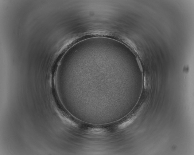 X0000091230205200708161723