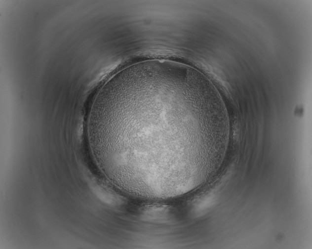 X0000091230206200708161723