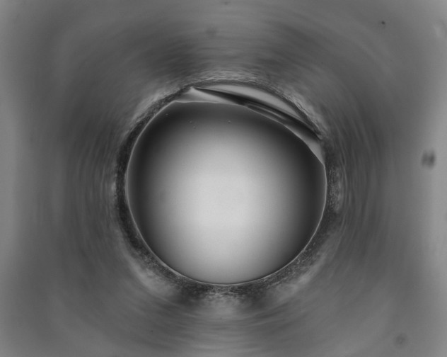 X0000091230207200708161723