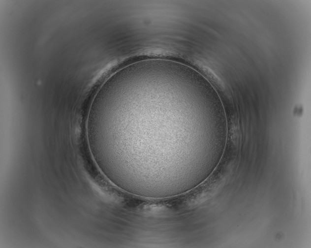 X0000091230208200708161723