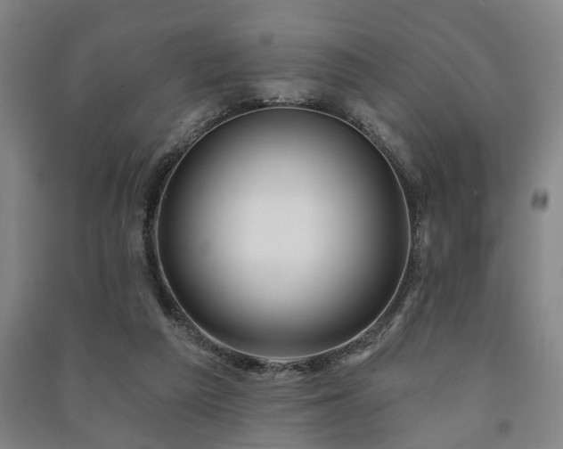 X0000091230209200708161723