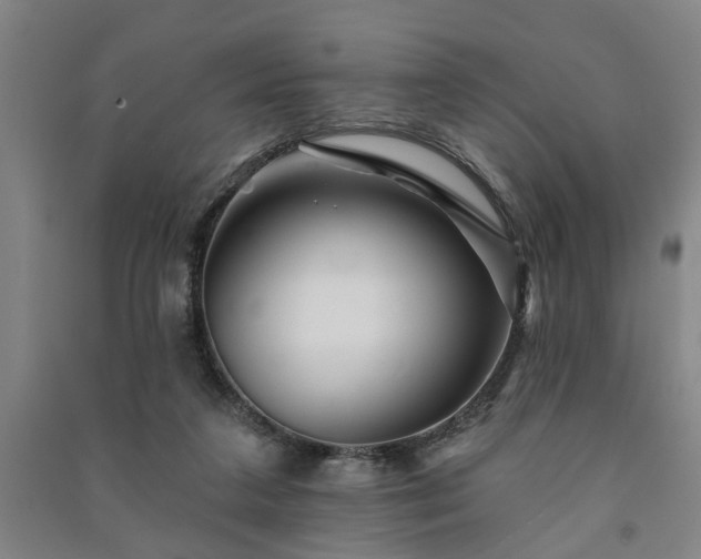 X0000091230211200708161723