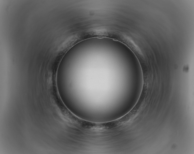 X0000091230213200708161723