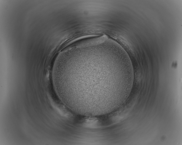 X0000091230214200708161723