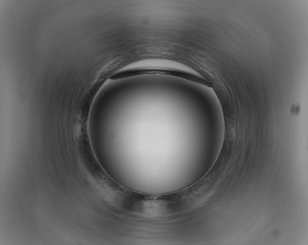 X0000091230216200708161723