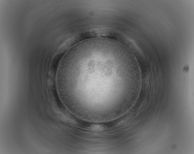 X0000091230218200708161723