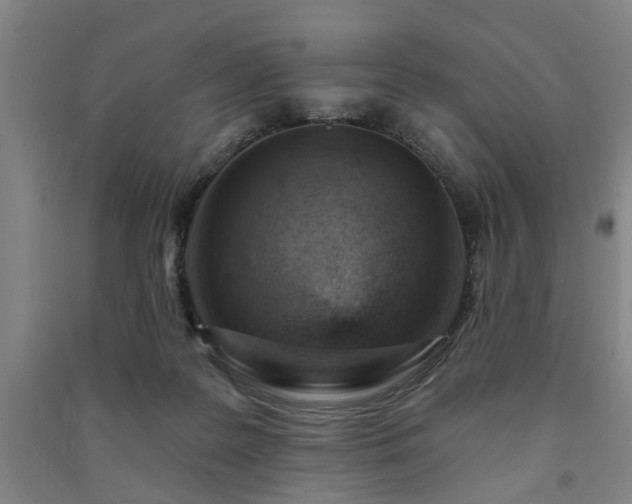 X0000091230219200708161723