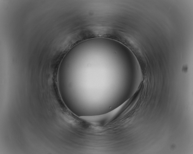 X0000091230221200708161723