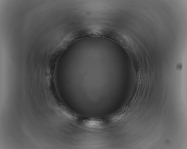 X0000091230223200708161723