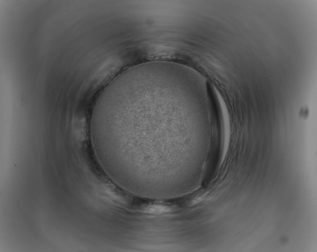 X0000091230224200708161723
