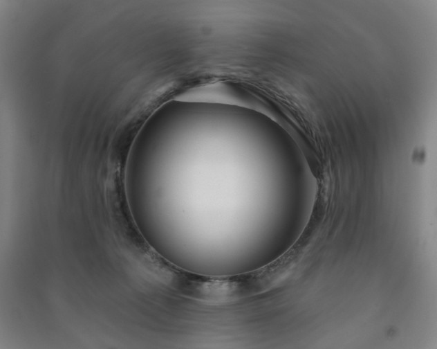 X0000091230225200708161722