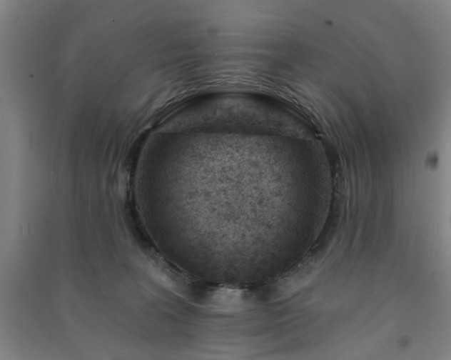 X0000091230227200708161722