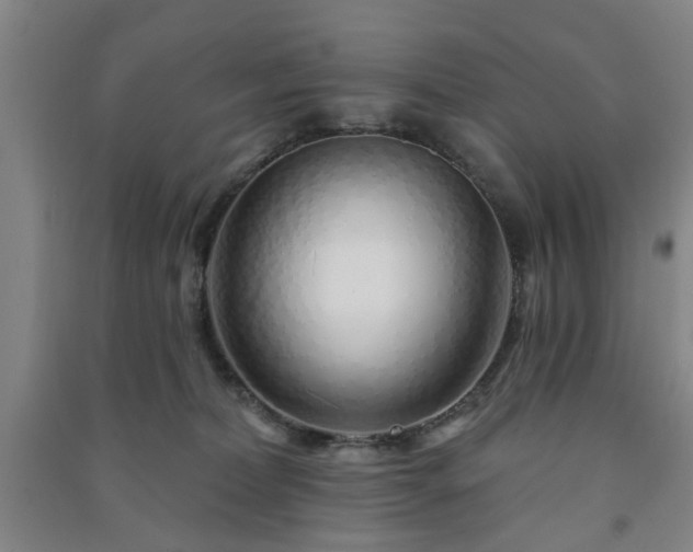 X0000091230228200708161722