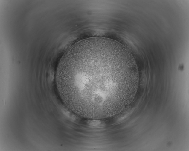 X0000091230230200708161722