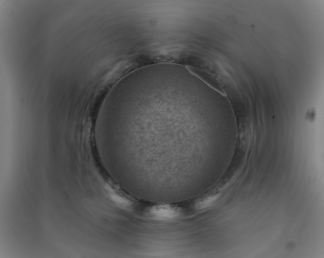 X0000091230231200708161722