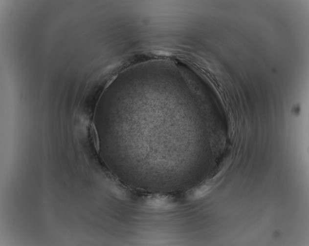 X0000091230235200708161722