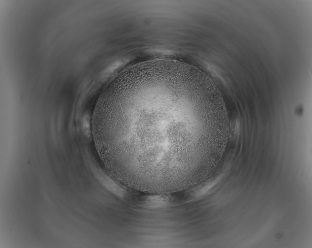 X0000091230238200708161722