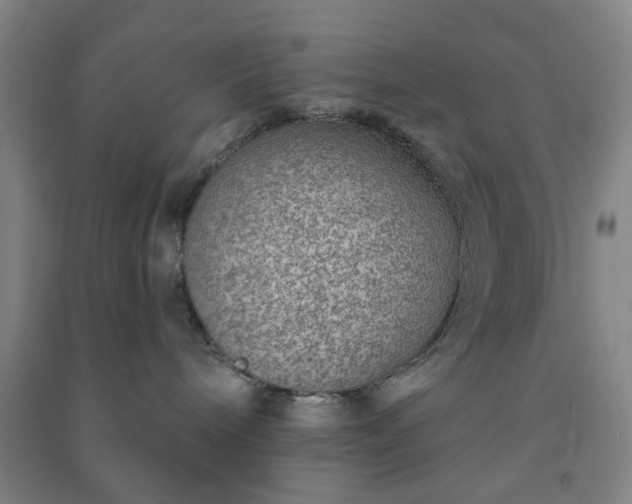 X0000091230240200708161722
