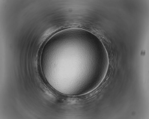 X0000091230242200708161722
